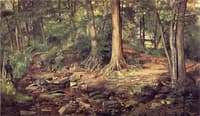 Young Girl at Forest Spring