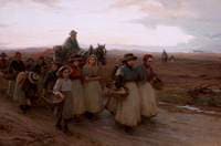 The Evening Hour