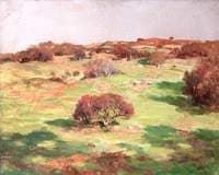 Autumn Sunshine, Kirkcudbright