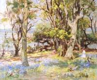 Bluebell Wood