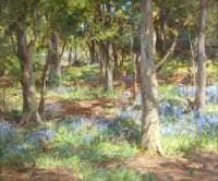 Bluebells, Torrs Wood, Kirkcudbright