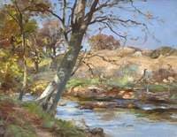 River Landscape on a Sunny Day