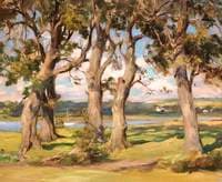 River Scene through Trees