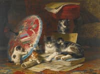 Kittens Playing
