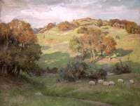 Sheep on Hill, Galloway