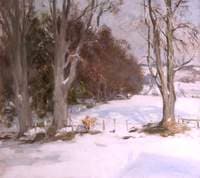 Snow Scene in Woods