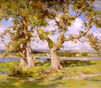 Three Trees by a River