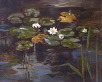 Water Lilies