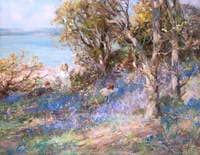 Wild Hyacinths