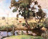 The Amber Pool