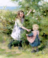 Wayside Roses