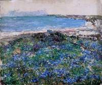 Blue Flax, Brighouse Bay