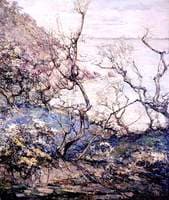 The Estuary