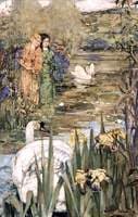 The Swans