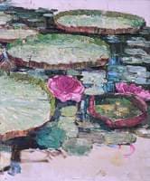 Waterlilies