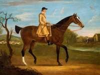 Huntsman on a Bay Horse