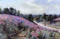 Elloughton Dale, East Riding of Yorkshire