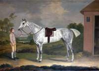 Fury, a Dappled Grey with His Groom