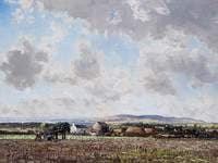 Finn's Land