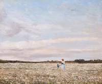 Margeurites in the Meadow