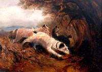 Hunt Terriers