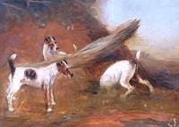 Hunt Terriers