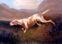 Pointer