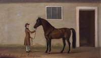 The Shute Arabian