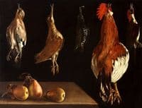 Still Life
