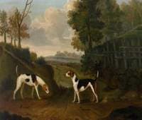 Harlot and Harmony, a Pair of Hounds