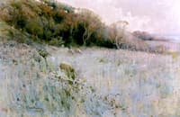 The Edge of the Meadow