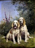 Working Dogs