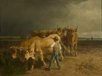 Oxen Ploughing