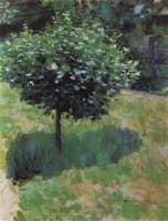 A Tree
