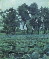 Cabbage and Trees