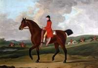 Rufus, Got by Grey Gower, the Property of Sir John William De la Pole