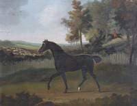 Silver Jack (a Hunter), Belonging to Sir John William De la Pole