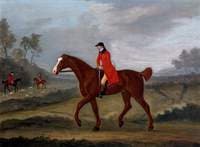 Little Hero (a Hunter), Belonging to Sir John William De la Pole