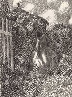 By the Pergola