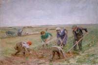 No.4, Crofters, Balephuil