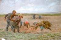 No.6, Harvesting Potatoes, Red Tam