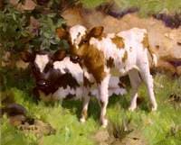 Summer in Galloway