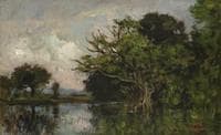 La mare aux hérons