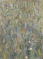 Ears of Wheat