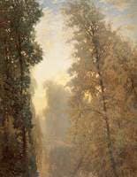 A Misty Morning
