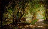 Pool Beneath Trees