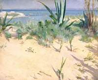 Sand Dunes, Tangier