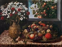 Still Life