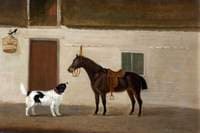 Bruen, a Spaniel, and Squirrel, a Black Horse