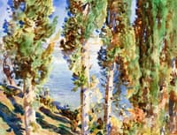 Corfu: Cypresses